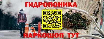 хмурый Гудермес